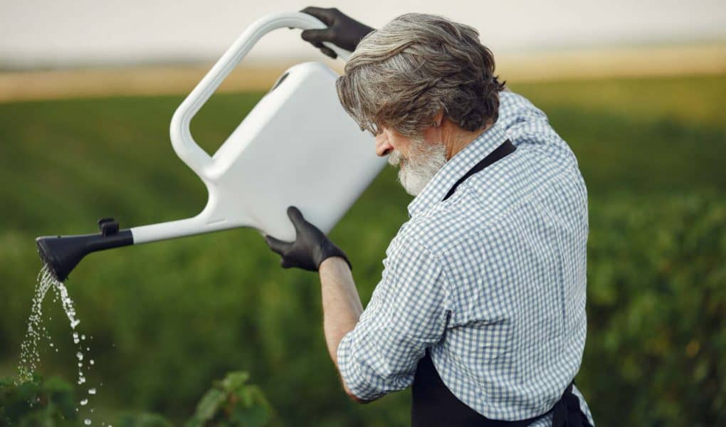 Tipos de Irrigação