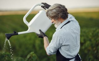 Tipos de Irrigação