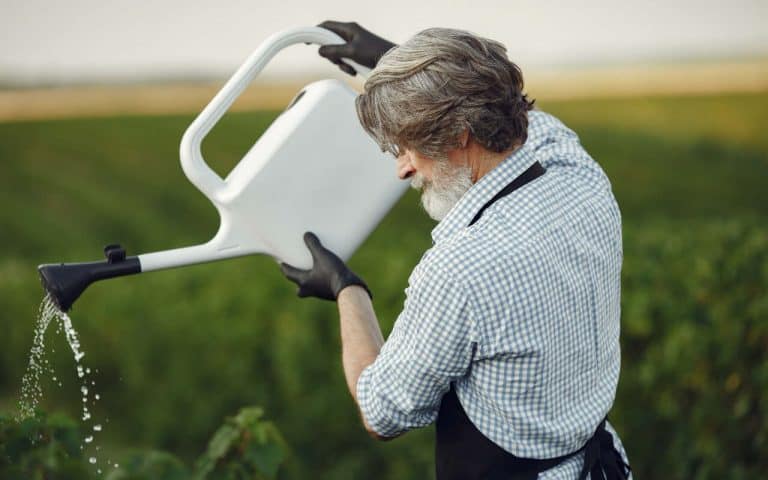 Tipos de Irrigação