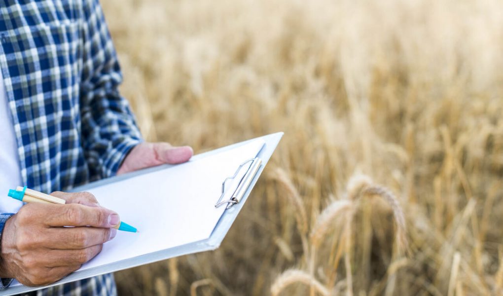 gestão de propriedade rural