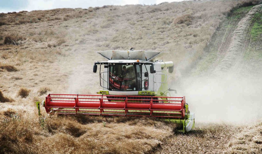 planejamento agrícola