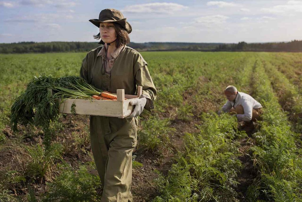 agricultura extensiva